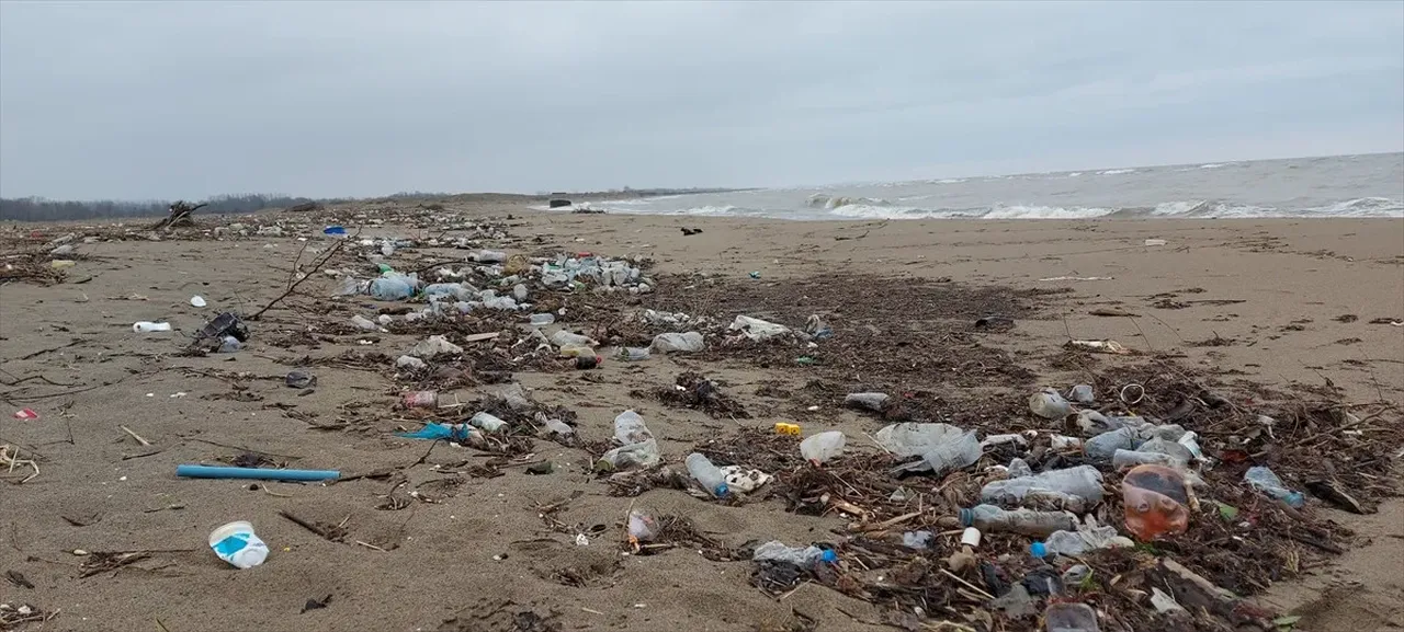 Karadeniz kıyılarında alarm! 'Acil önlem alınmalı' uyarısı