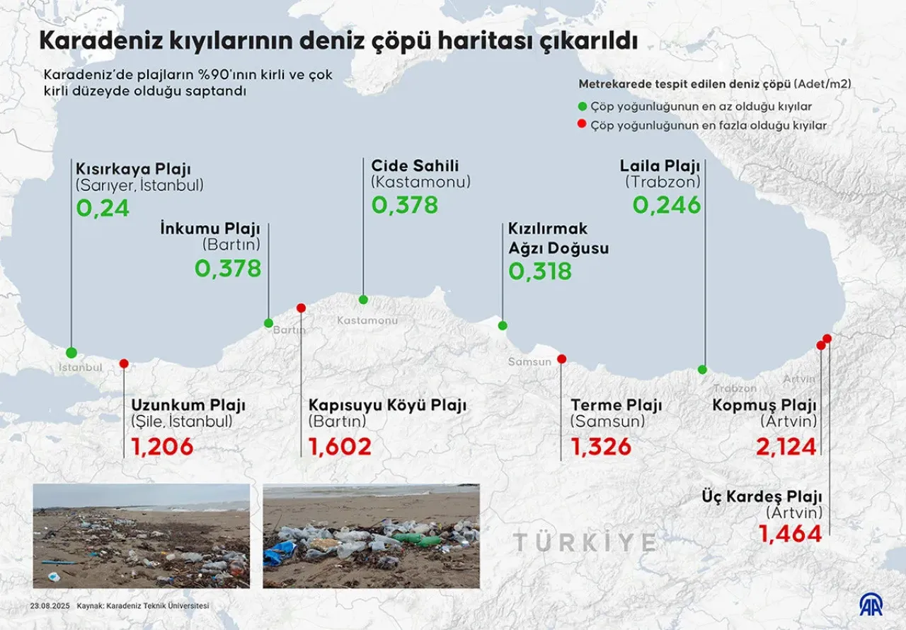 Karadeniz kıyılarında alarm! 'Acil önlem alınmalı' uyarısı