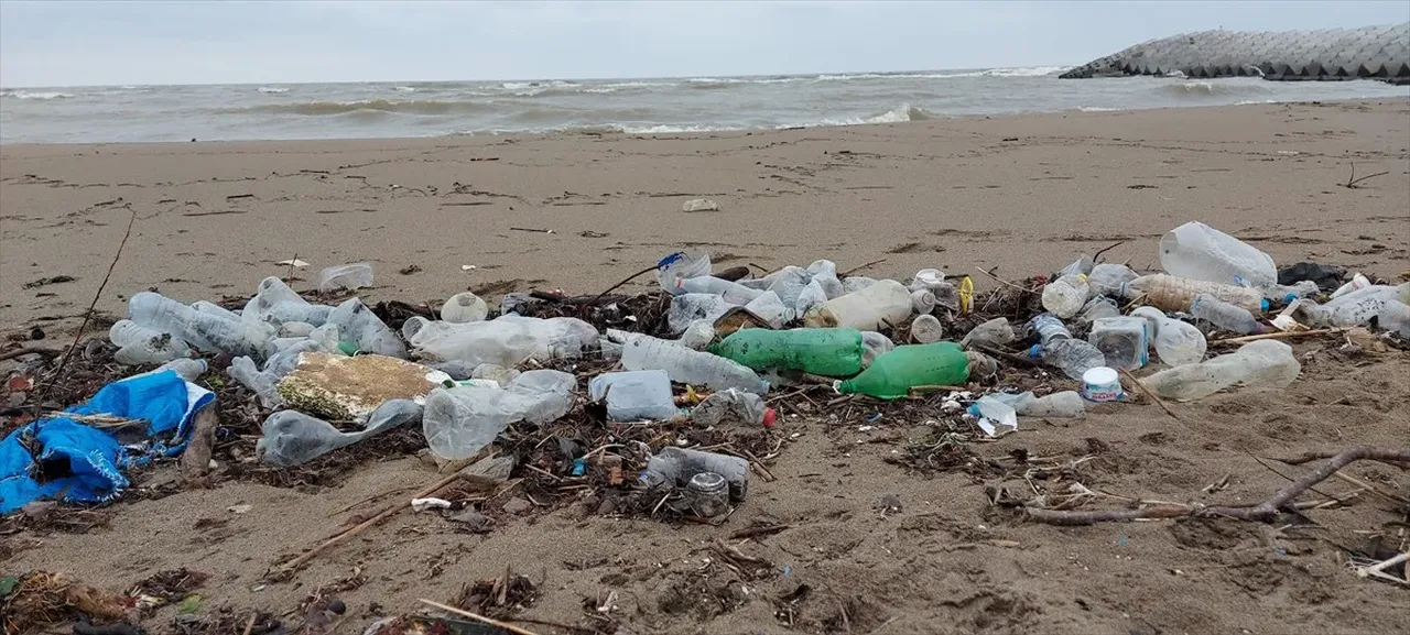 Karadeniz kıyılarında alarm! 'Acil önlem alınmalı' uyarısı