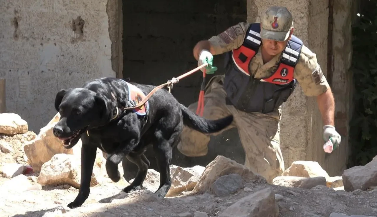 Kilis'te 2 yaşındaki çocuk kayboldu! Cansız bedeni çok yakından çıktı
