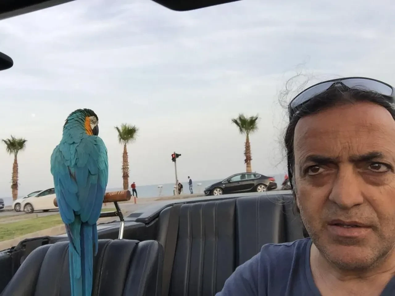 Turgut Özal'ın papağanı 'Cabbar' yine çalındı! Sahibi 'Evladımı geri getirin' diye feryat ediyor