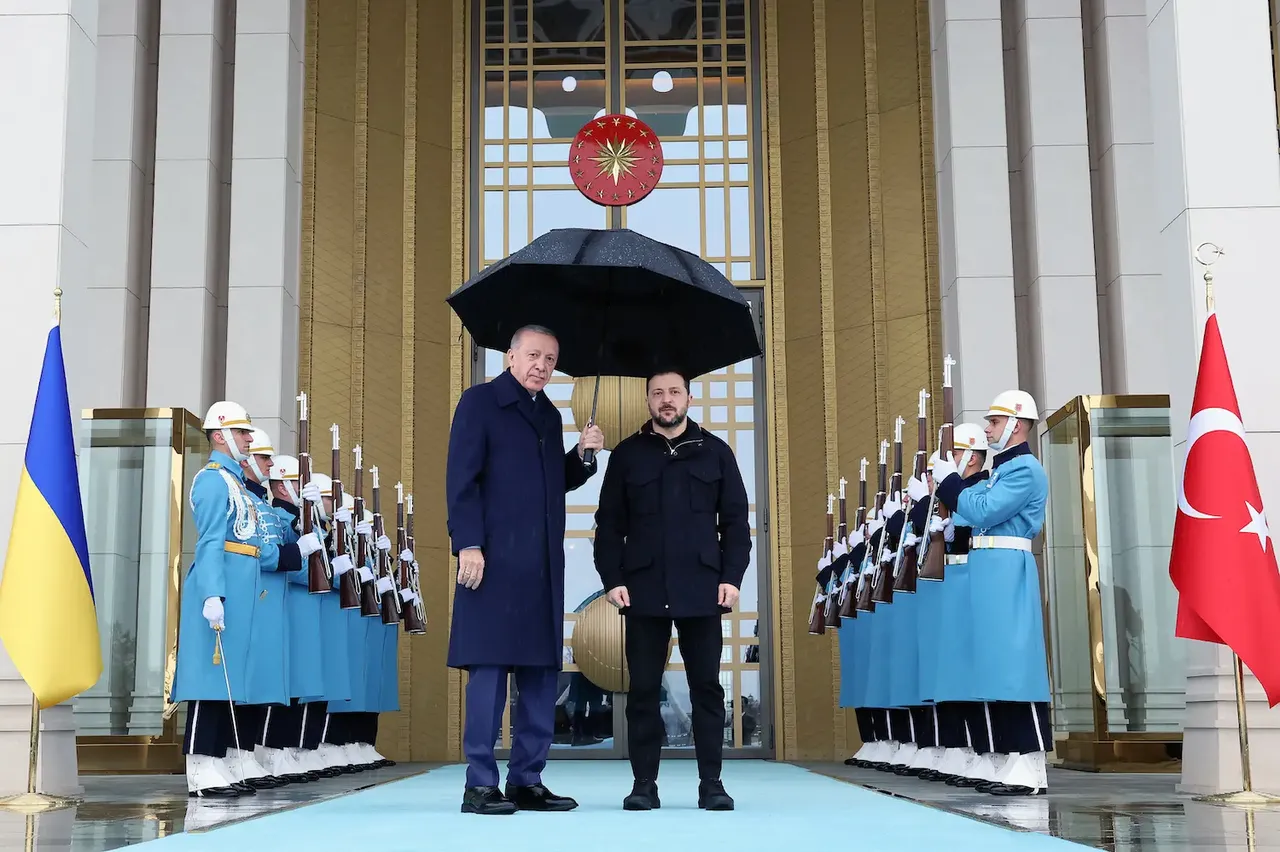 Zelensky'den Cumhurbaşkanı Erdoğan'a teşekkür mektubu! 'Çabalarınız için müteşekkiriz'