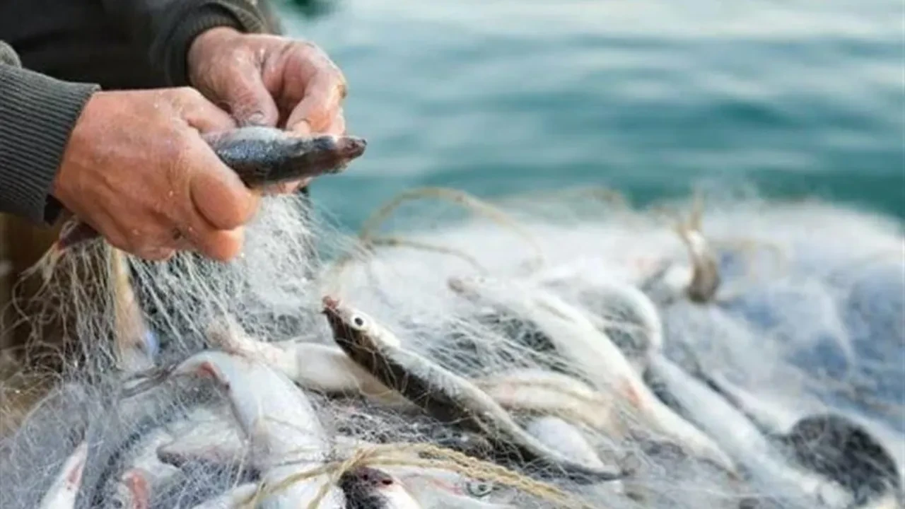Balıkçılar 'vira bismillah' demek için gün sayıyor!İşte bolluk yaşanacak iki balıktürü