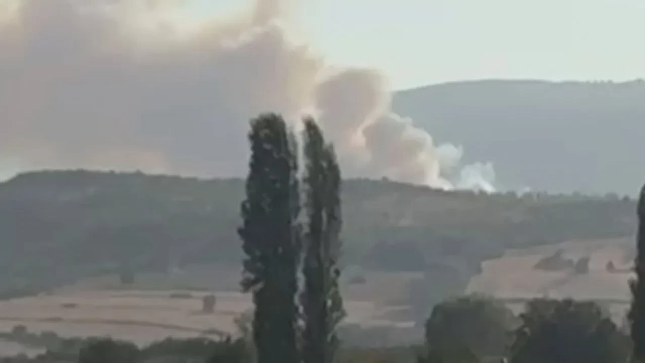 Balıkesir'de orman yangını