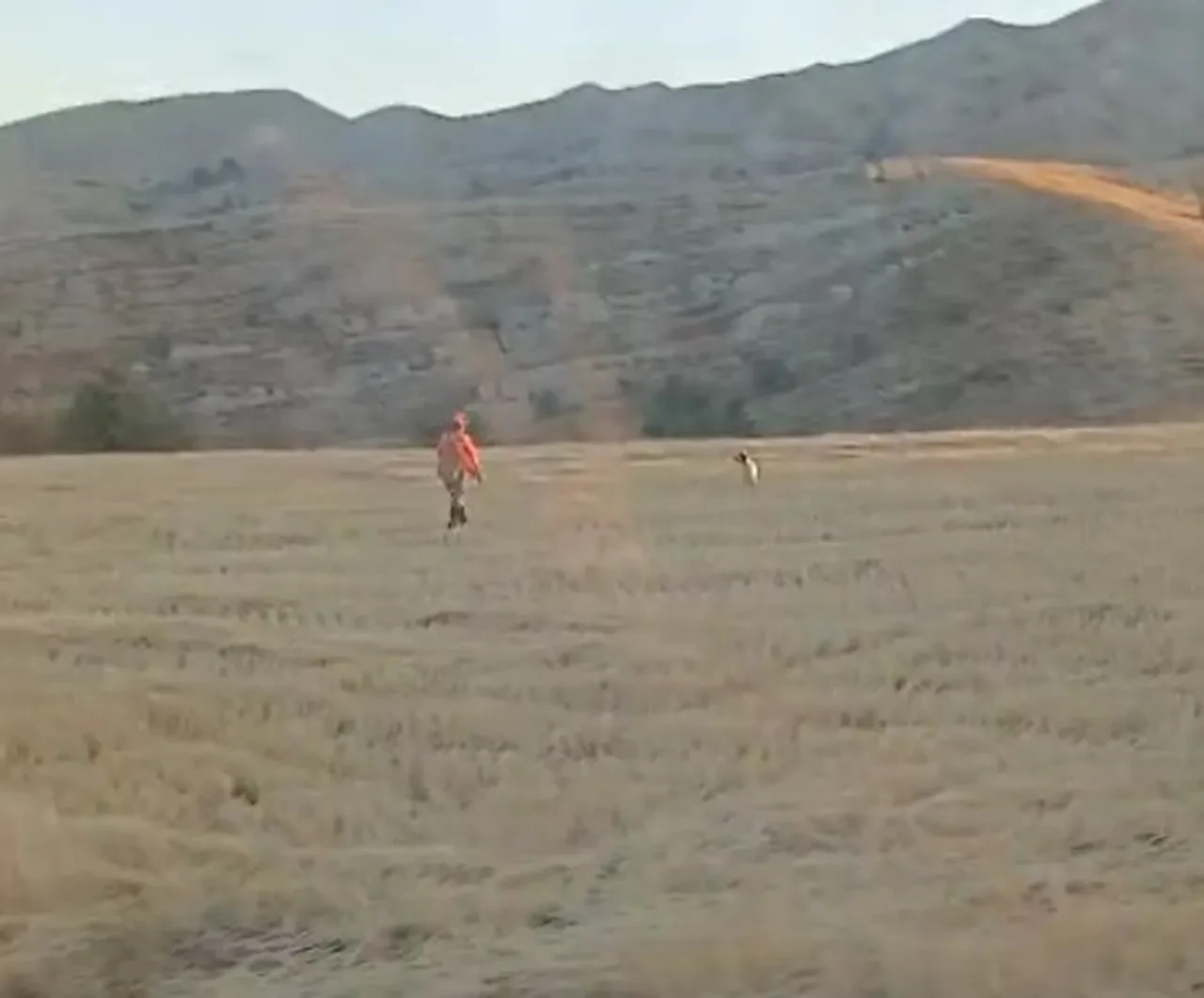 Mars'ta avlandılar, muhtar ve jandarmadan kaçamadılar!