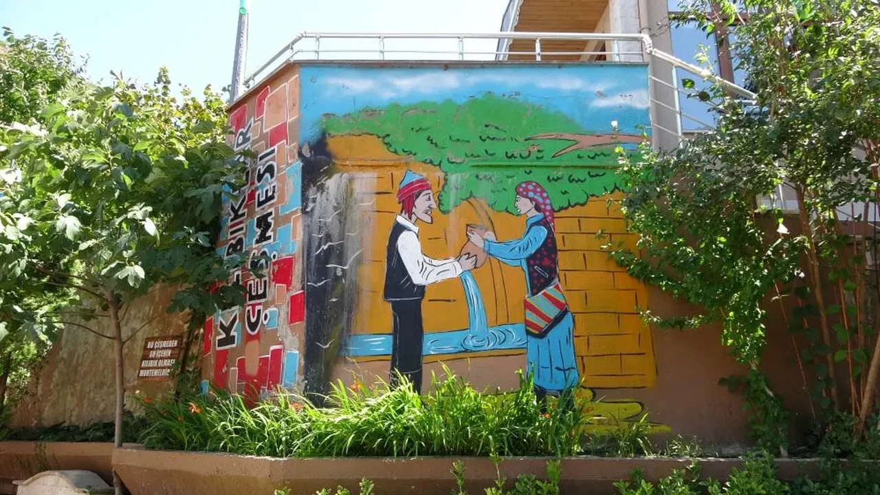 Trabzon'da 'kılıbık' mahalle! Önce kurşunlandılar, sonra sahiplendiler: Sertifika bile veriyorlar