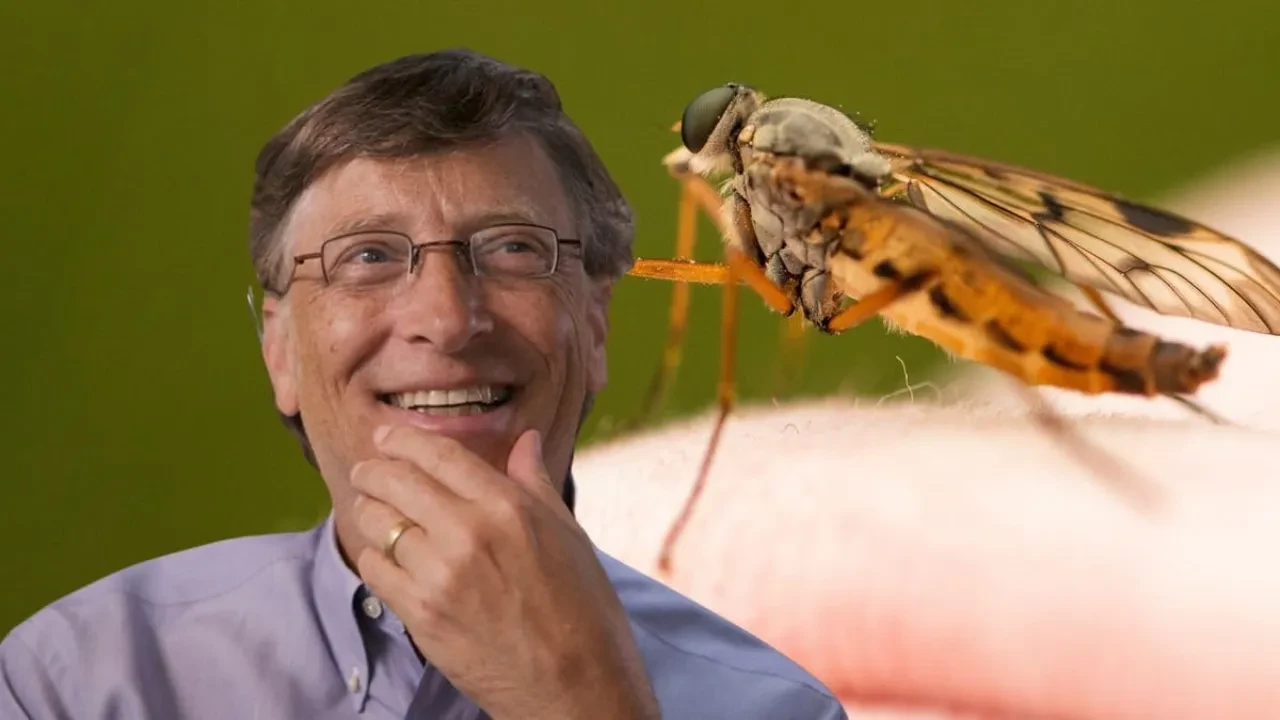 Bill Gates'in genetiği değiştirilmiş sivrisinekleri bulunup yok edilecek
