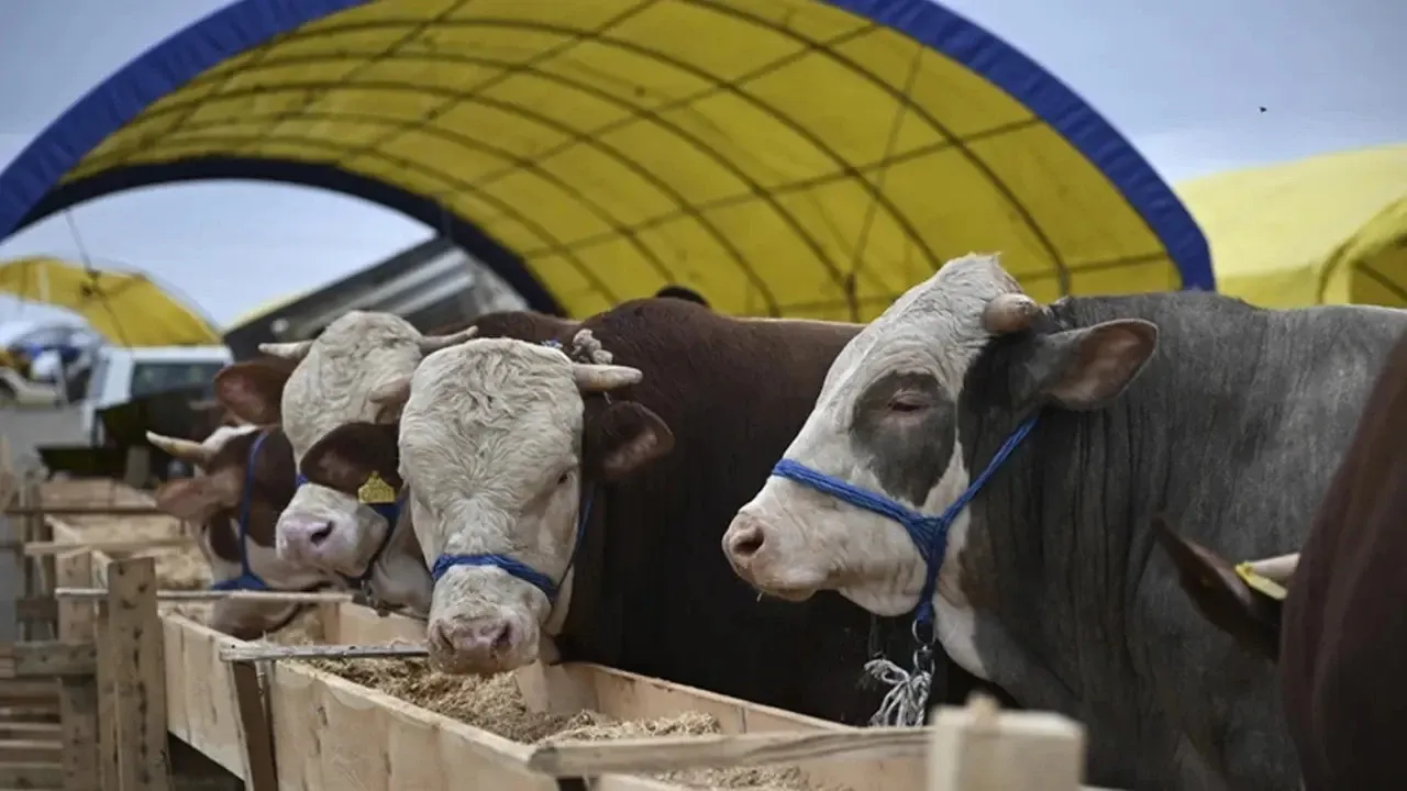 Et fiyatlarına zam mı gelecek? Bakanlık o iddialara cevap verdi