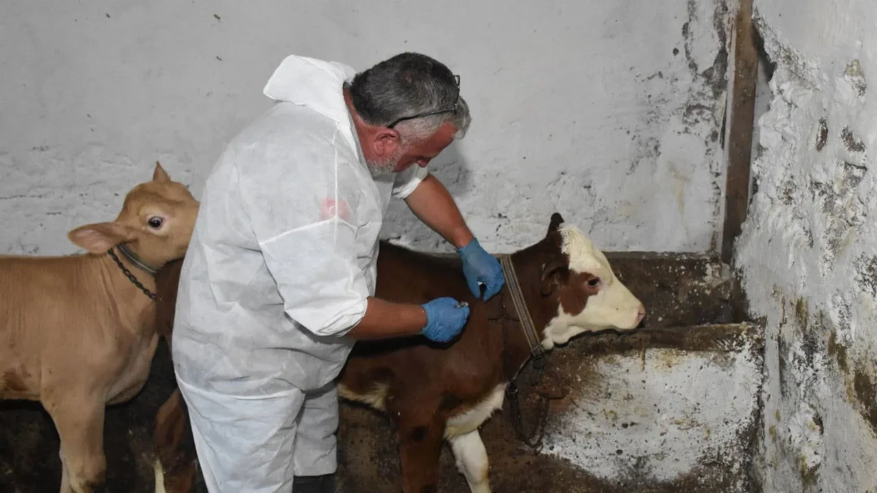 Et fiyatlarına zam mı gelecek? Bakanlık o iddialara cevap verdi