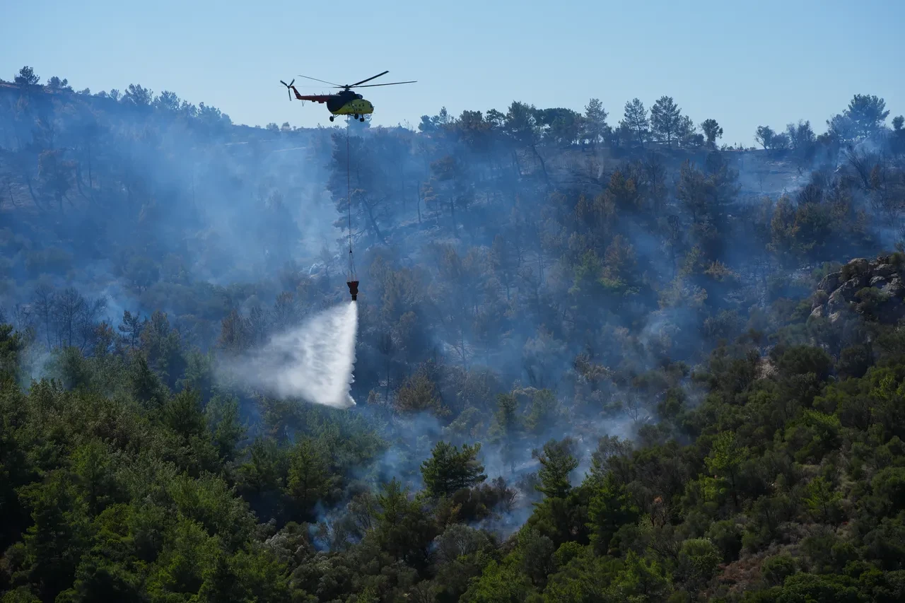 İzmir'de korkutan orman yangını! Akıllara hazirandaki felaketi getirdi