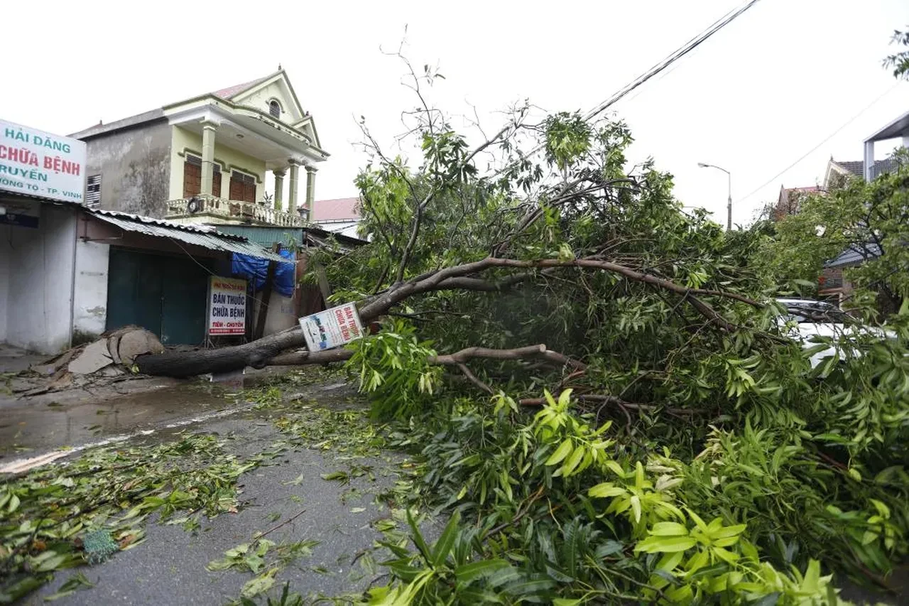 Kajiki Tayfunu Vietnam'da karaya çıktı: Ölü ve çok sayıda yaralı var