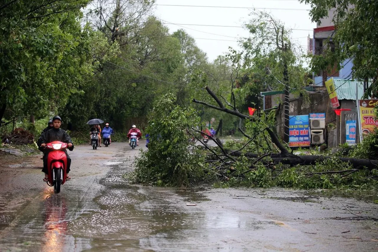 Kajiki Tayfunu Vietnam'da karaya çıktı: Ölü ve çok sayıda yaralı var