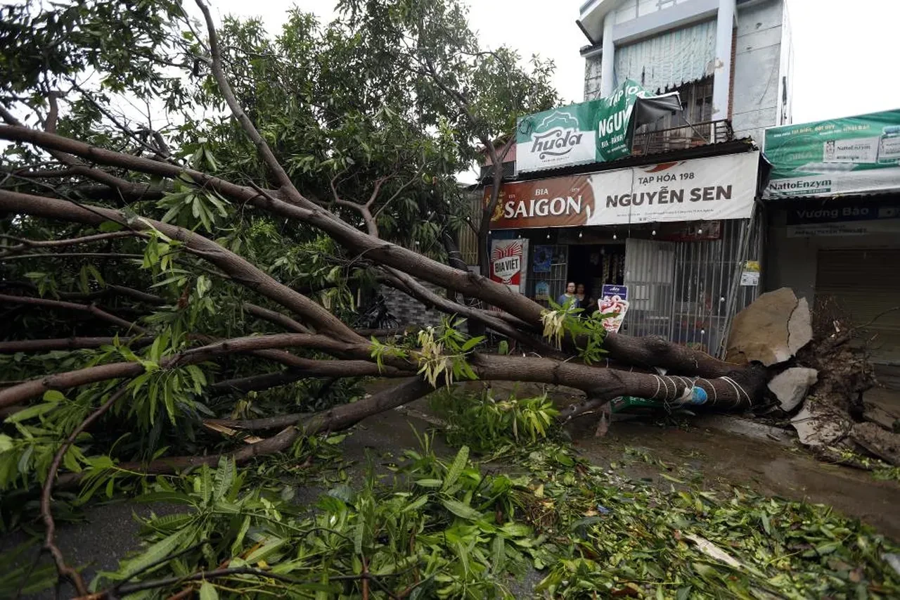 Kajiki Tayfunu Vietnam'da karaya çıktı: Ölü ve çok sayıda yaralı var