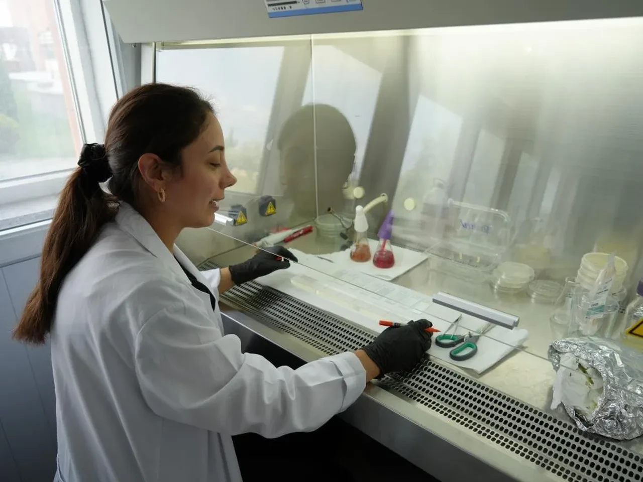 Kastamonu'da tespit edildi! Rusya detayı: İşte belirtileri