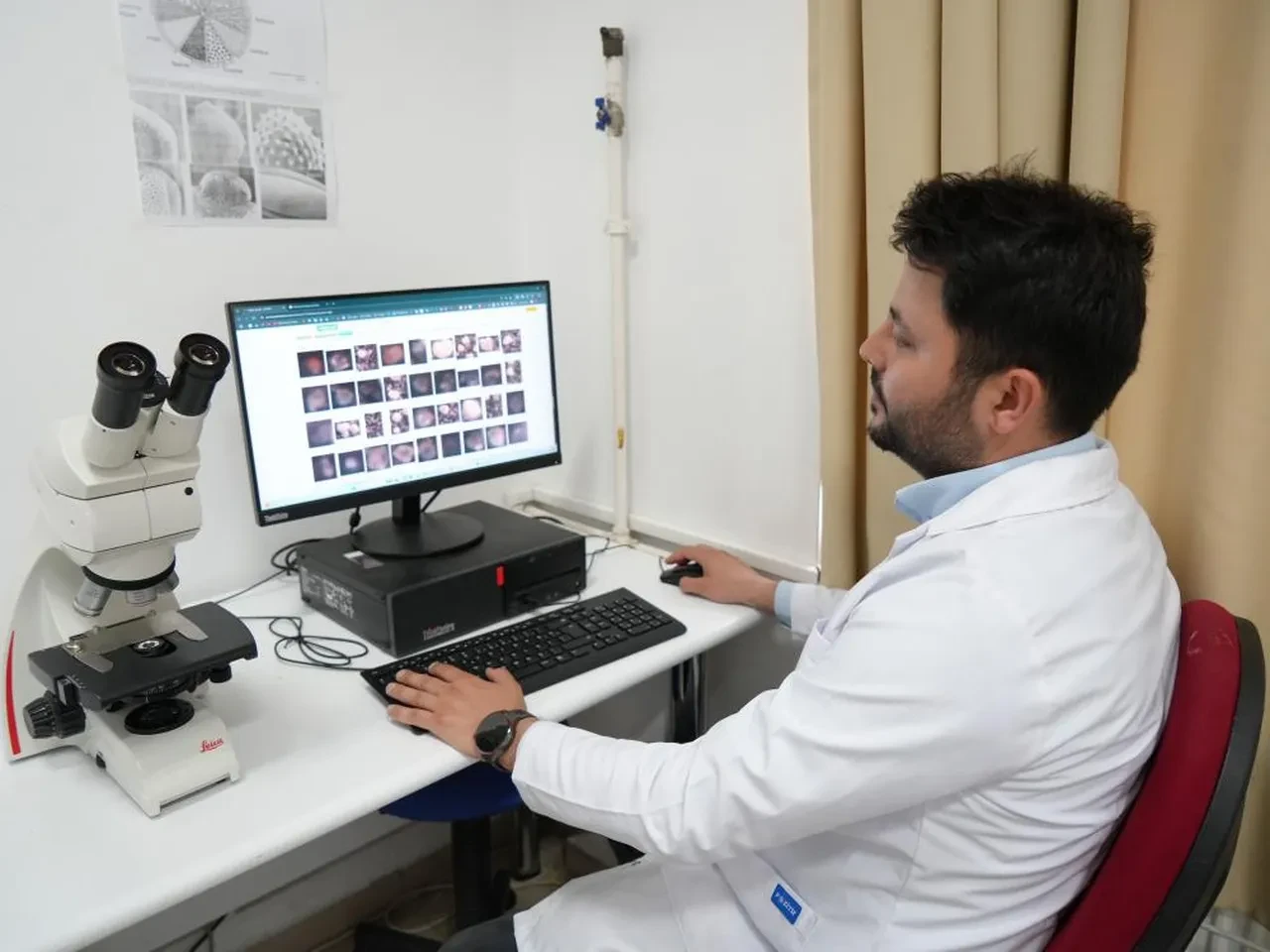 Kastamonu'da tespit edildi! Rusya detayı: İşte belirtileri