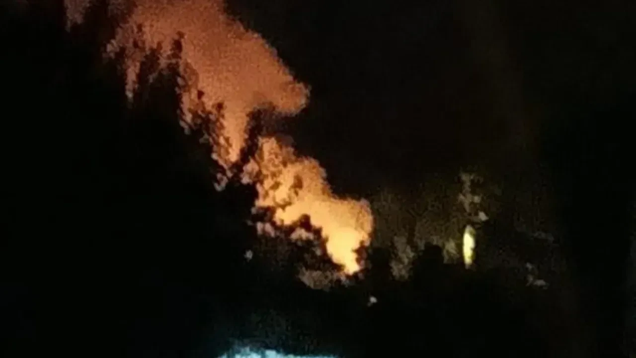 Köyceğiz'de alevler korkuttu! Orman yangınına müdahale