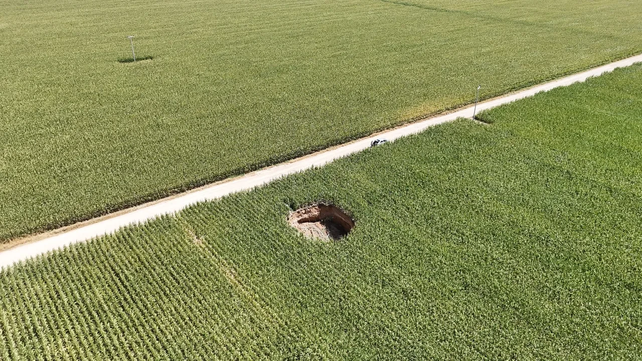 Mısır tarlasına gelince şok yaşadı! Hemen ekiplere haber verdi