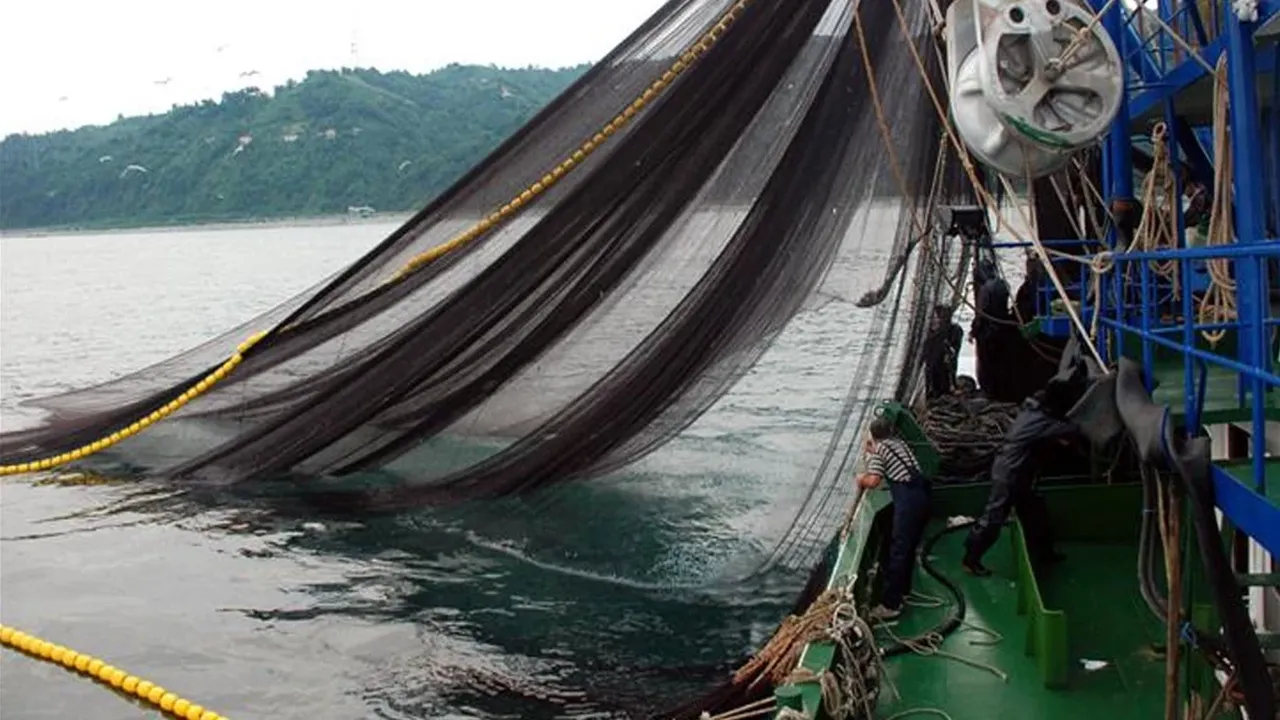Balıkçılar yeni sezona hazır! Hamside rekor bekleniyor