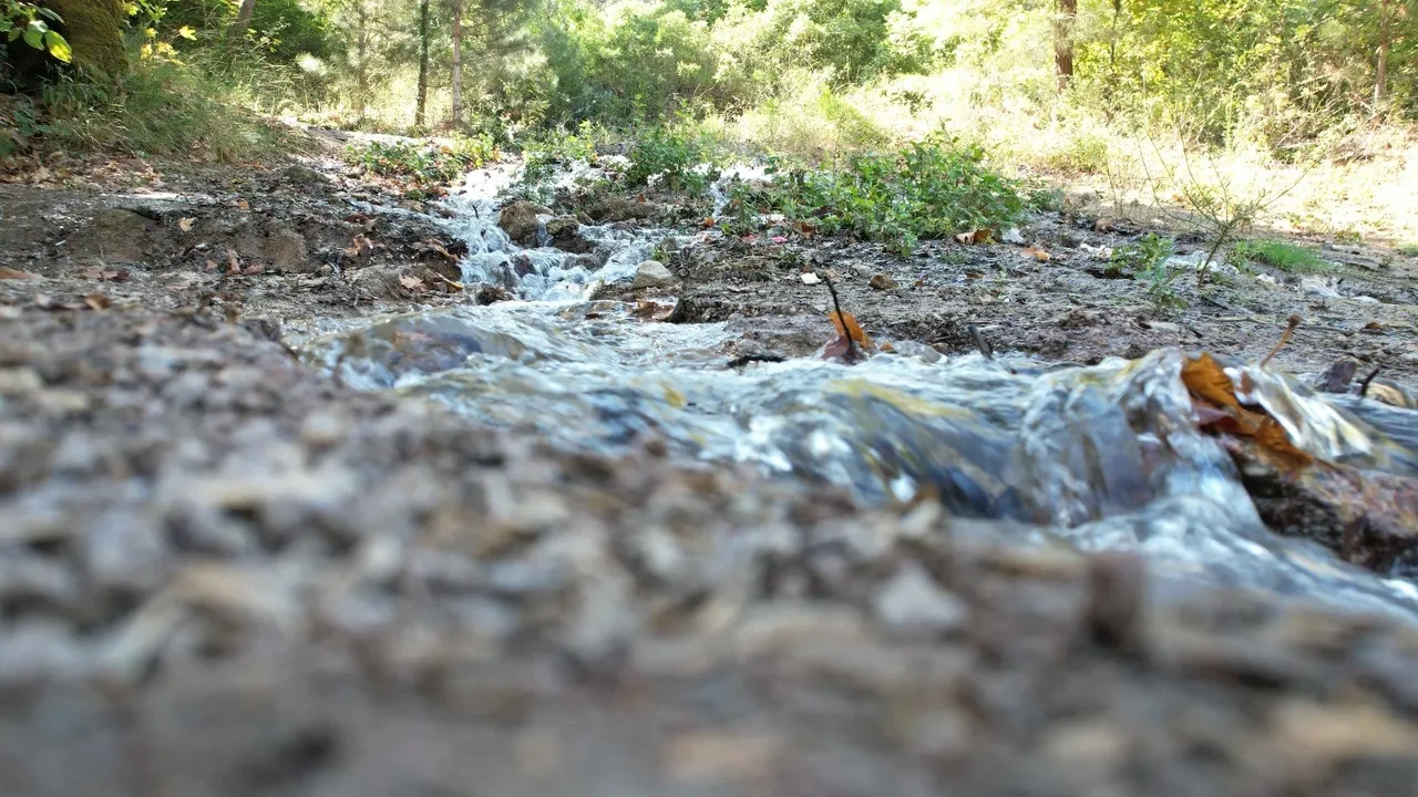 Balıkesir'deki şiddetli deprem sonrası bölgede korkunç değişim! Tamamen yok oldular 