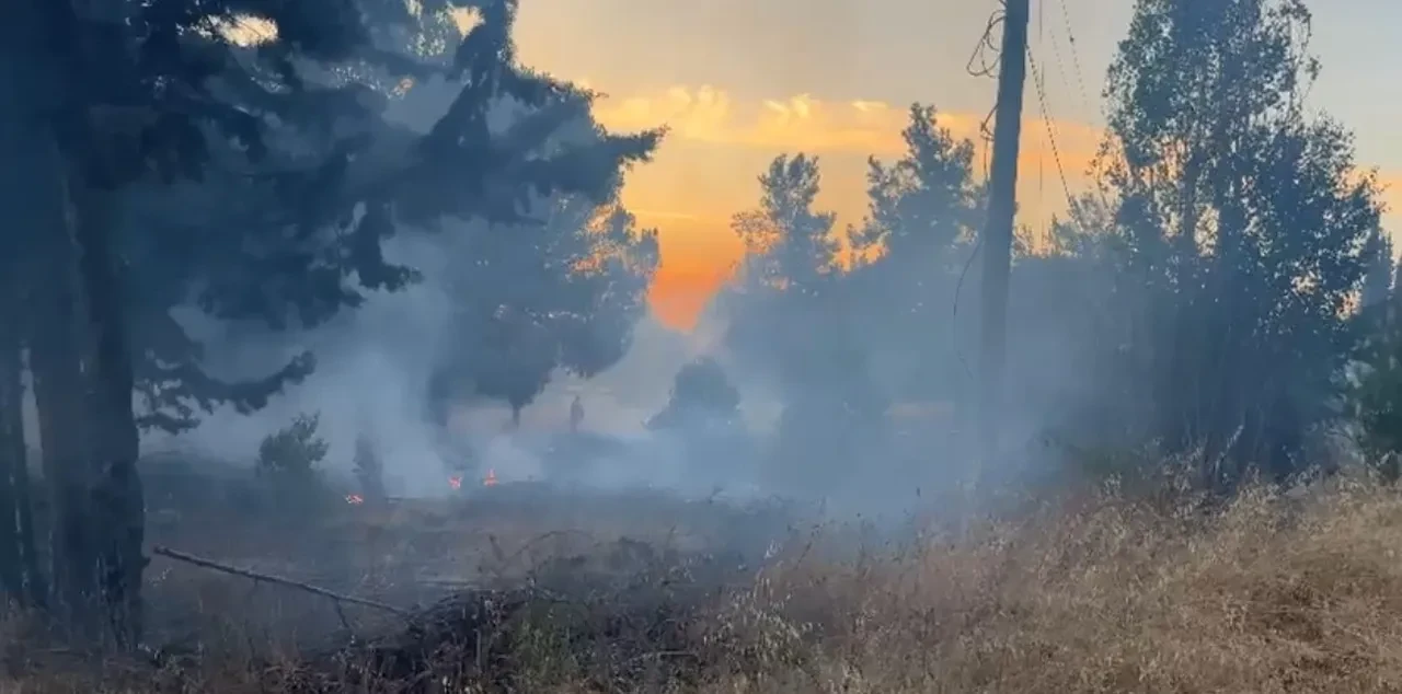 Bursa Uludağ Üniversitesi'nde orman yangını