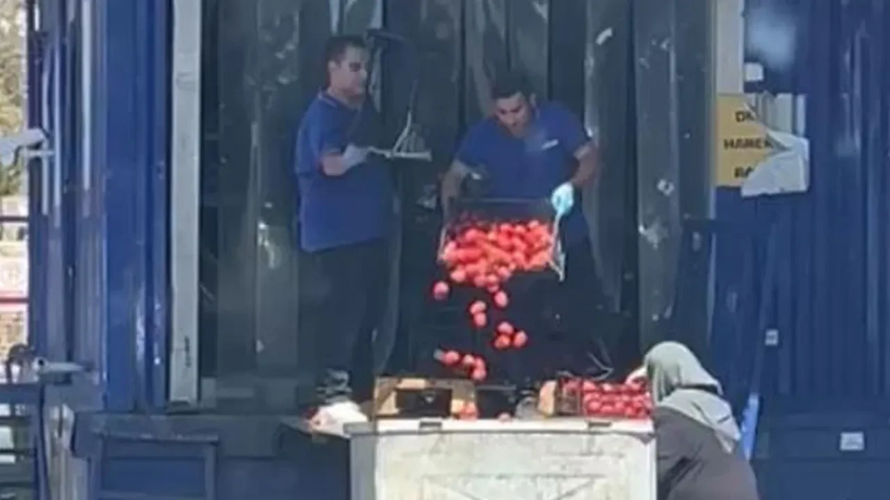 Kasalarca domates çöpe dökülmüştü... Ticaret Bakanı'ndan açıklama geldi