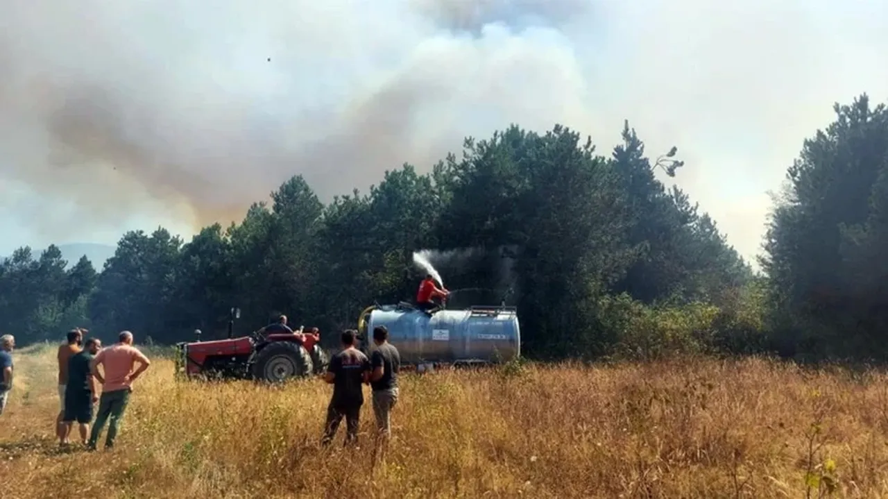 Sakarya Akyazı orman yangının söndürüldü mü? Son durum araştırılıyor