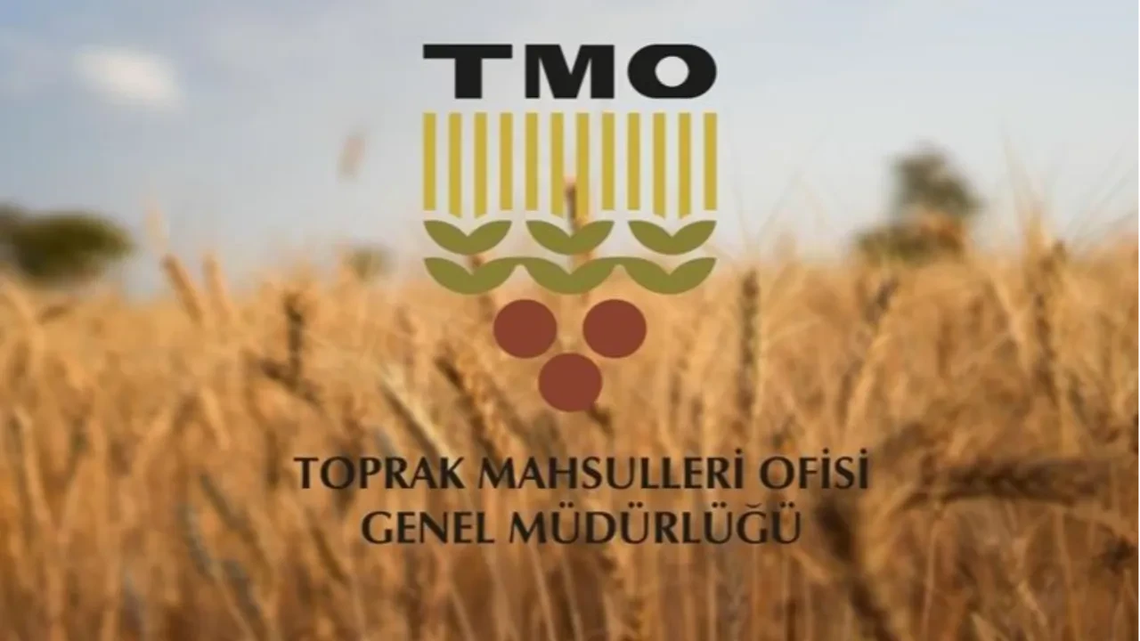 TMO'nun ithalat yoluyla tarım ürünleri almasına ilişkin usul ve esaslar belirlendi
