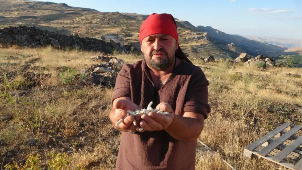 Bu sakız bir ay çiğnenebiliyor! Fiyatı altınla yarışıyor 
