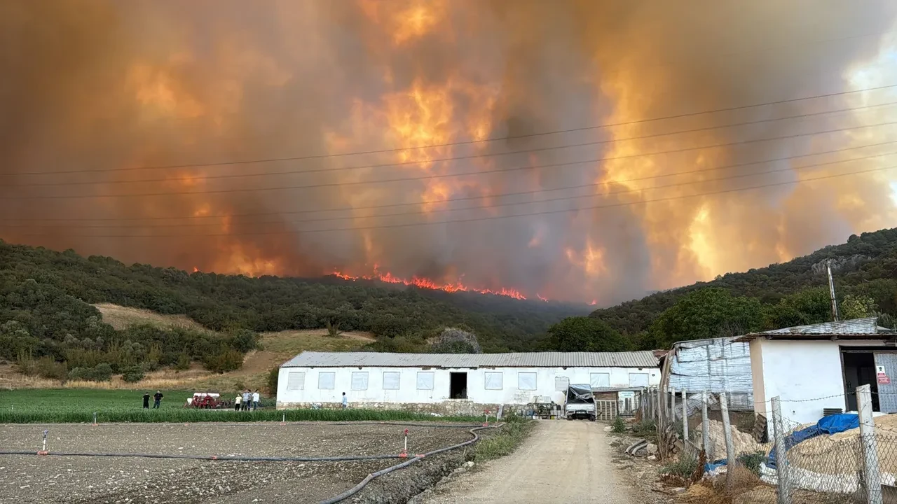 Bursa'da orman yangını! Ekipler ve köylüler seferber oldu