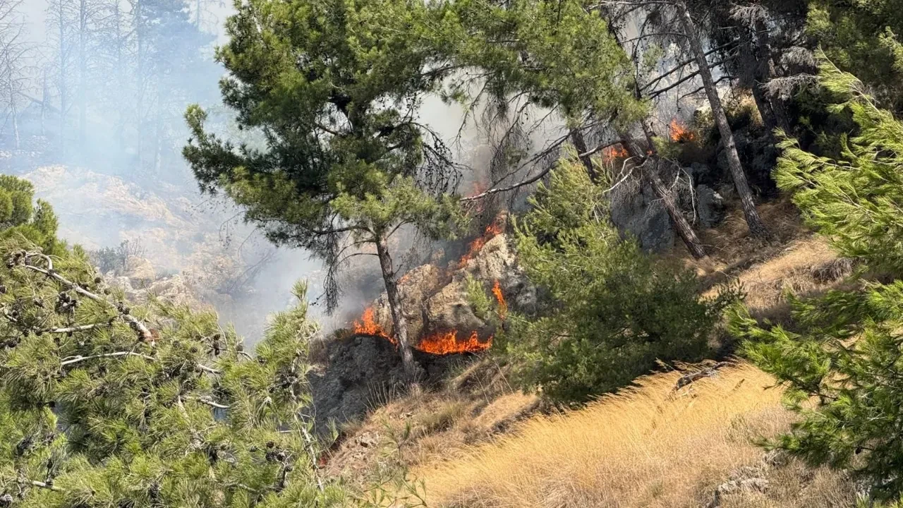 Hatay’da orman yangını! 