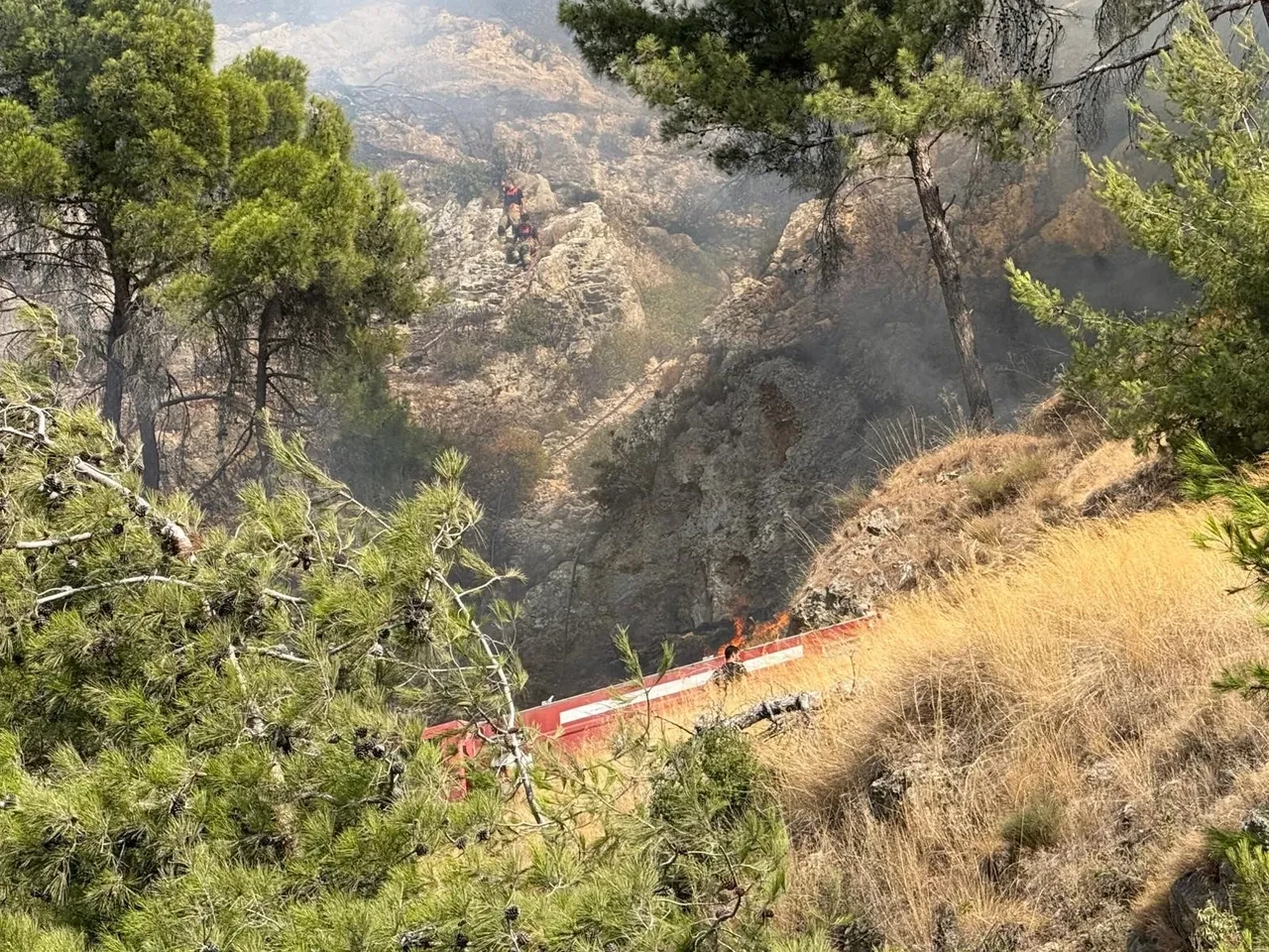 Hatay’da orman yangını! 