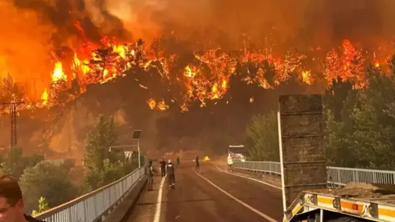 Orman yangınları neden arttı? Bilim insanları korkunç gerçeği açıkladı: 80 yıl öne attı 