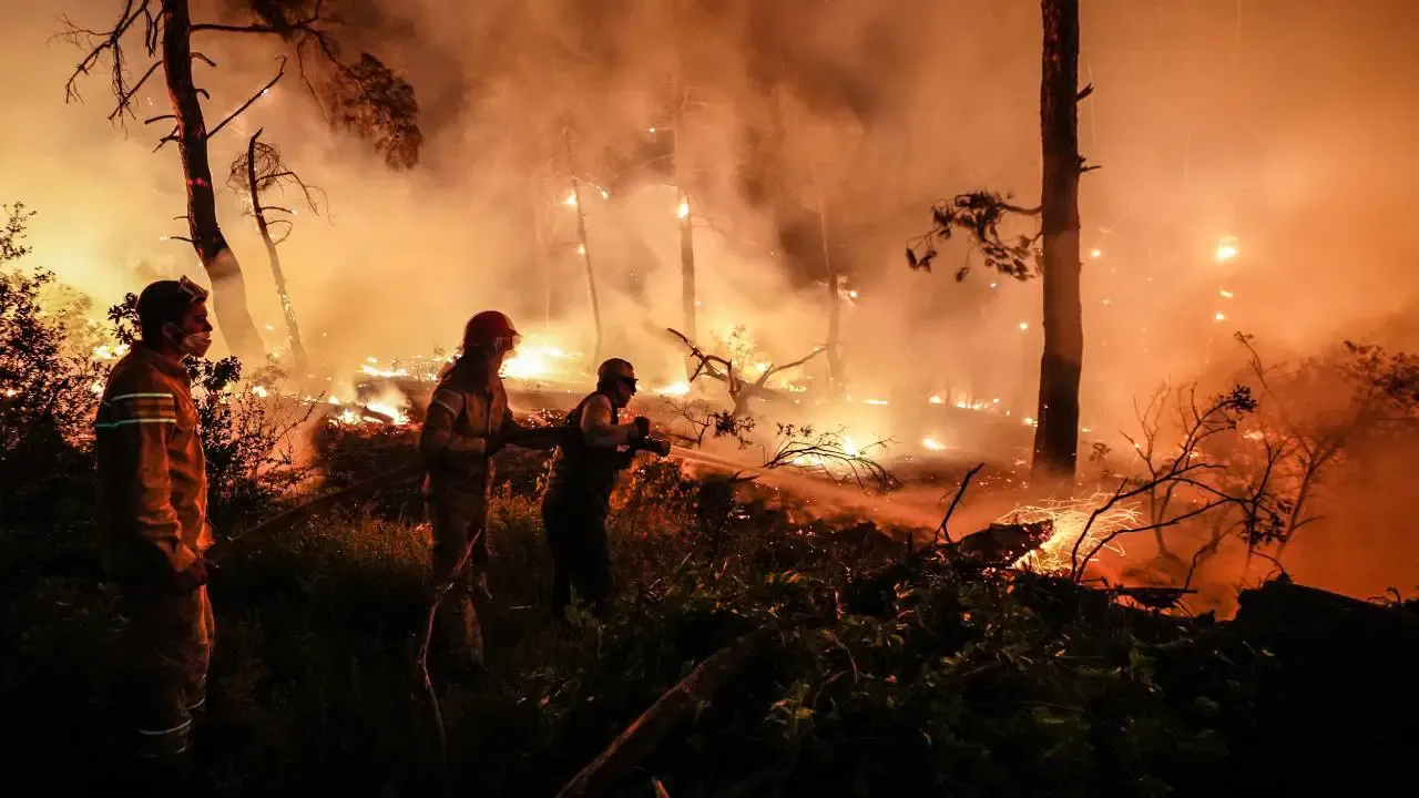 Orman yangınları neden arttı? Bilim insanları korkunç gerçeği açıkladı: 80 yıl öne attı 