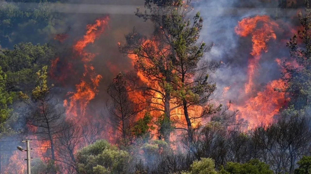 Orman yangınları neden arttı? Bilim insanları korkunç gerçeği açıkladı: 80 yıl öne attı 
