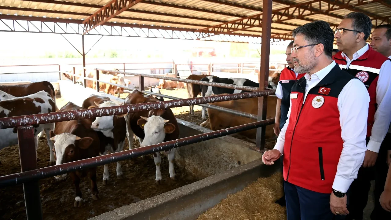 Tarım ve hayvancılıkta yeni dönem! Bakan Yumaklı duyurdu: Yıllık 200 bin hayvan yerli üreticiden karşılanacak