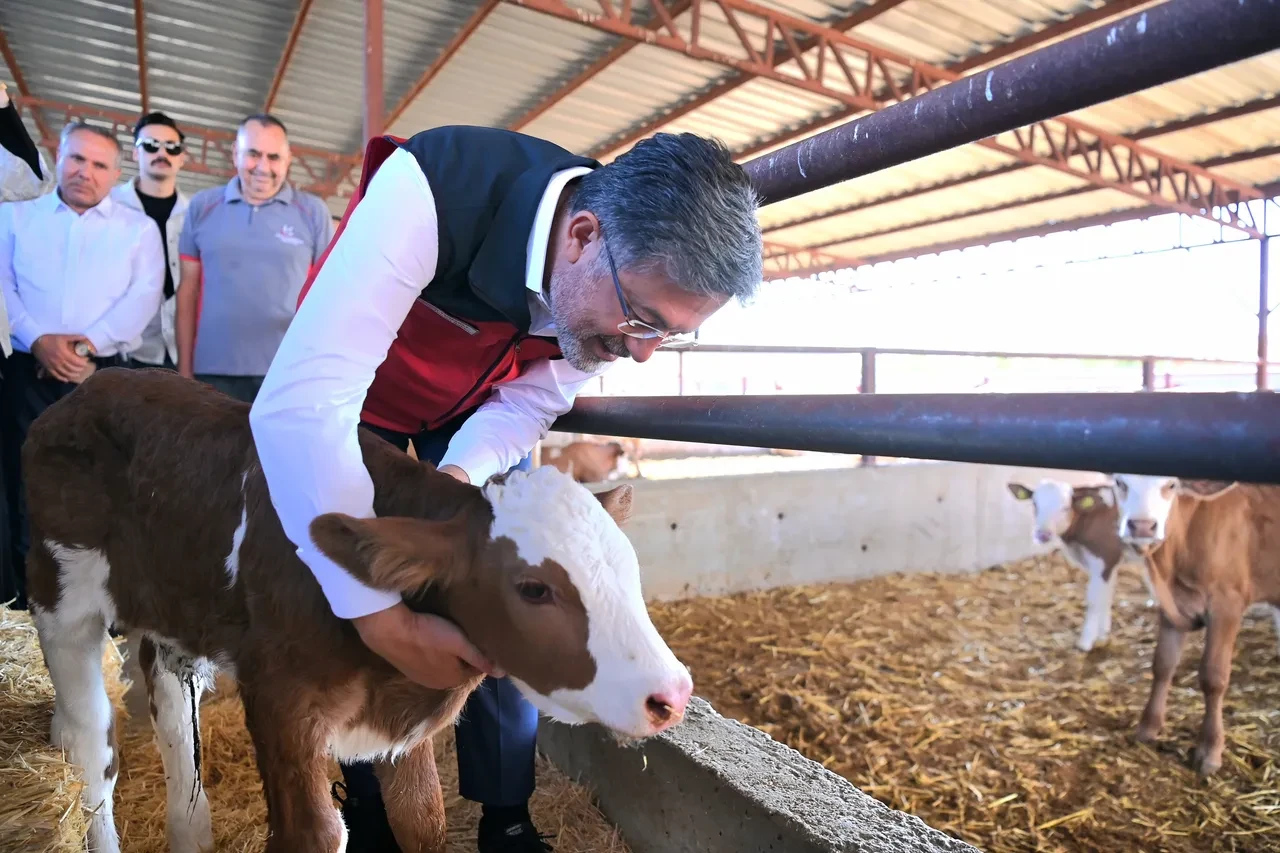 Tarım ve hayvancılıkta yeni dönem! Bakan Yumaklı duyurdu: Yıllık 200 bin hayvan yerli üreticiden karşılanacak