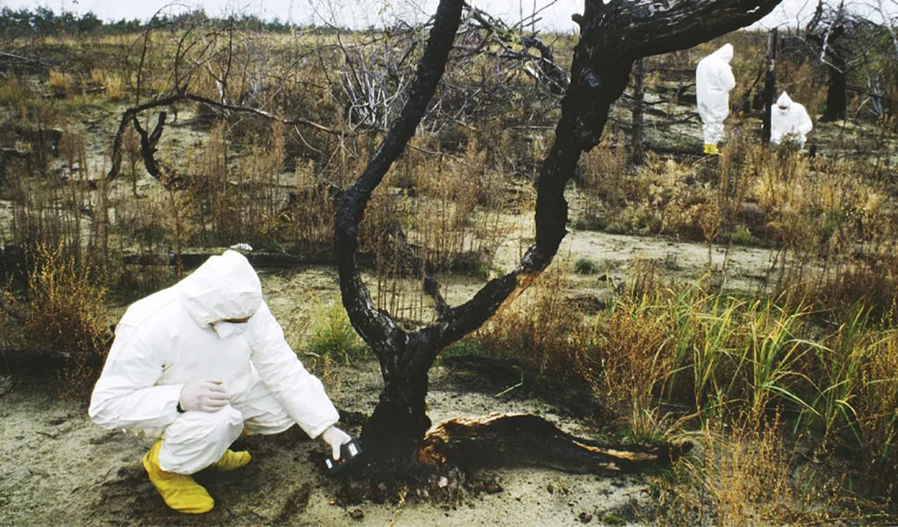 Ukrayna'da ikinci Çernobil felaketi! Radyoaktif arazide tarım yapıp piyasaya sürdüler