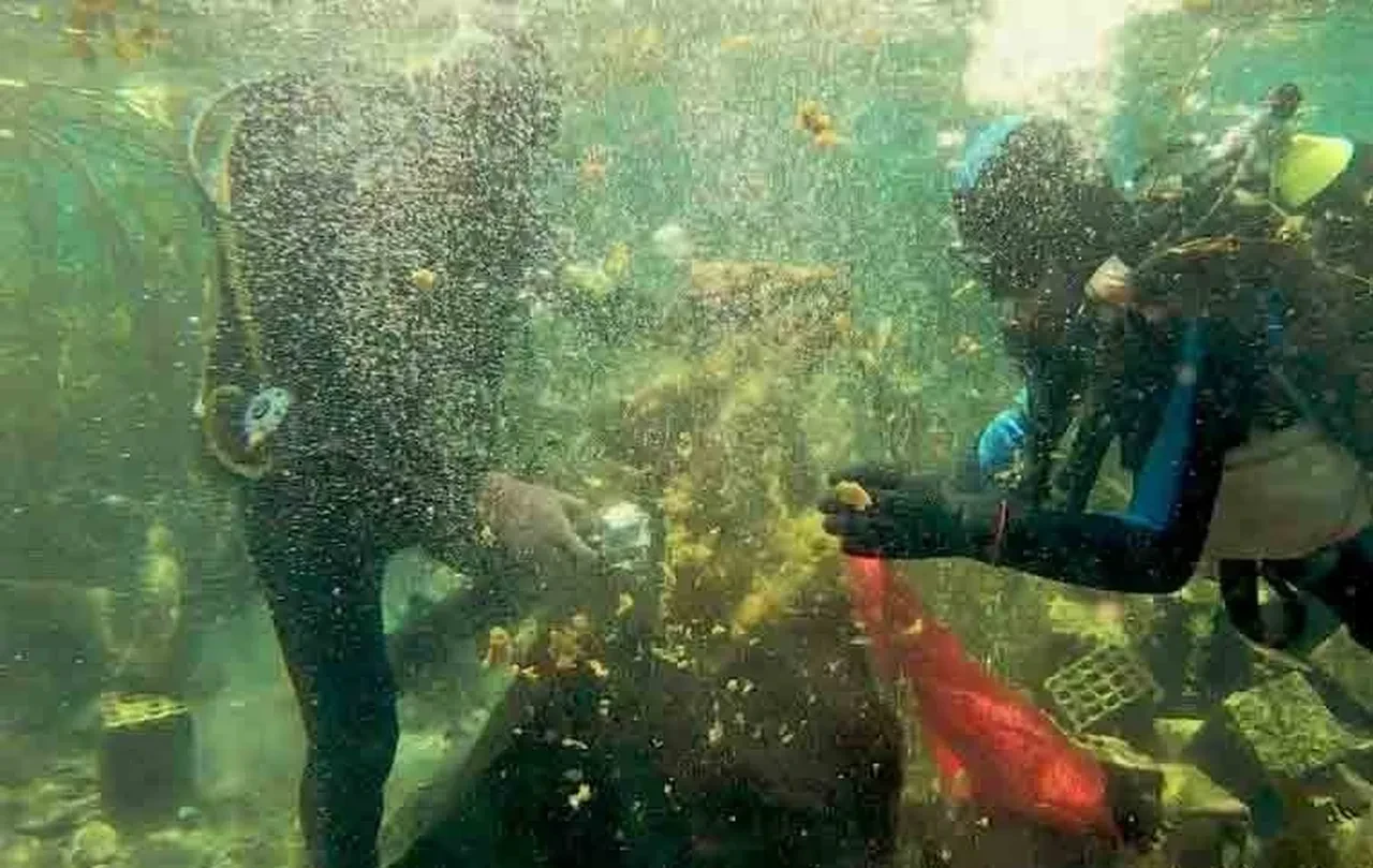 Antalya Körfezi'nde alarm! Kirlilik gözle görülür halde