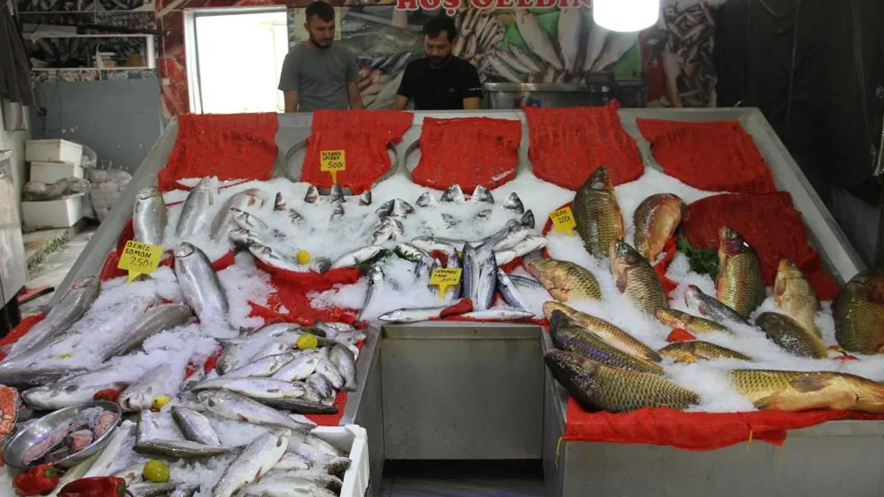 Balıklar tezgaha inmeyi bekliyor! İşte fiyatlar