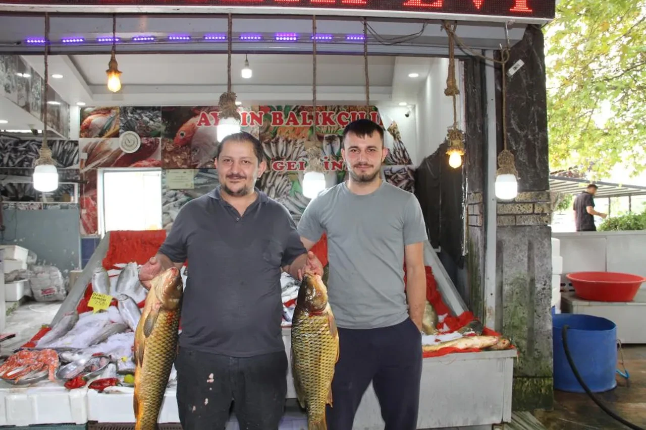 Balıklar tezgaha inmeyi bekliyor! İşte fiyatlar