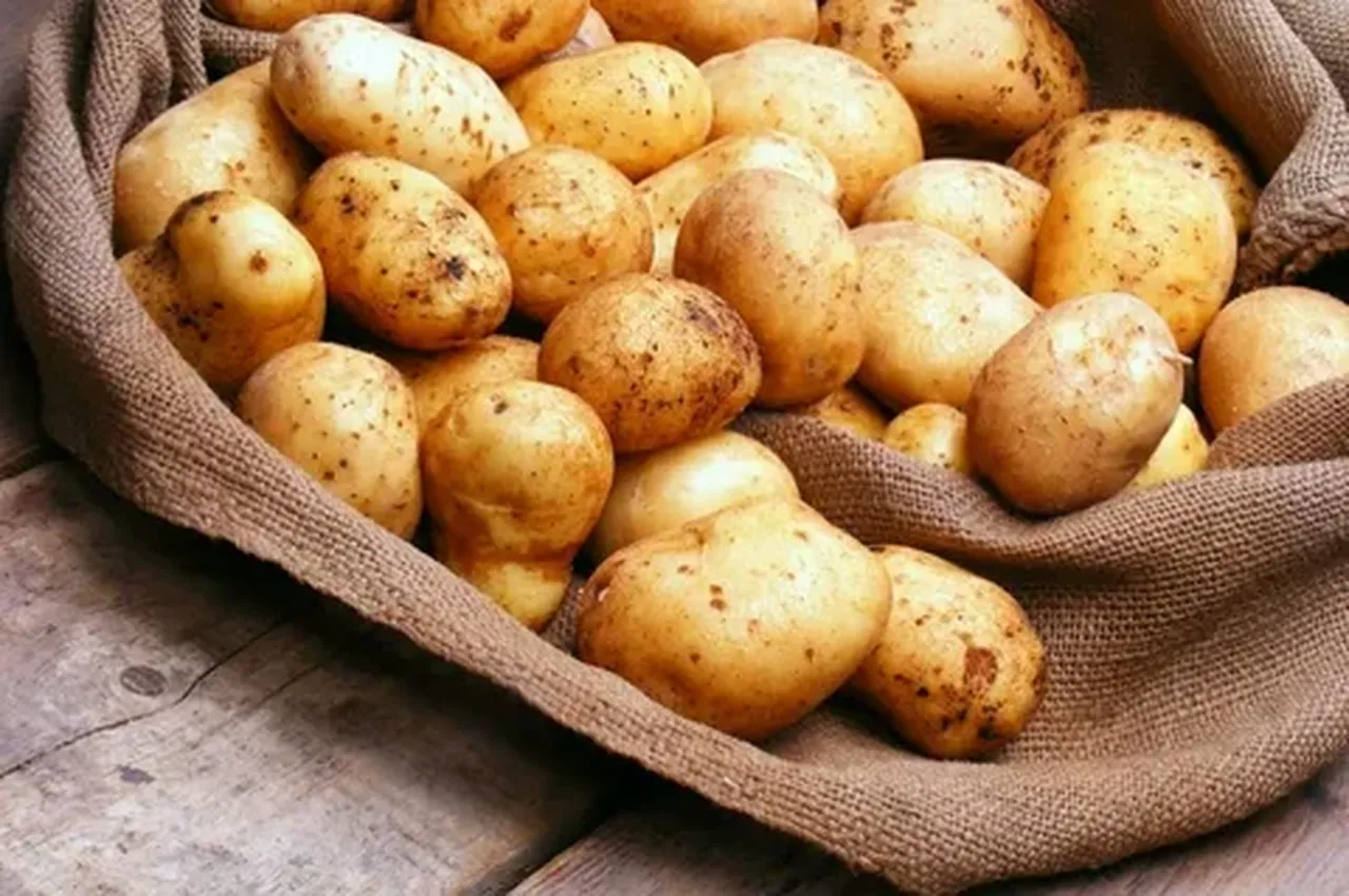 Ev hanımlarının birçoğu meğer bu hataya düşüyormuş! Patatesleri oraya koyarsanız aylarda filizlenmeden saklayabilirsiniz