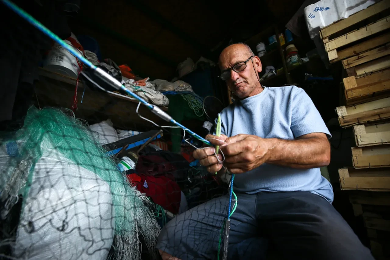 Heyecanla 1 Eylül'ü bekleyen balıkçılar yeni sezondan umutlu