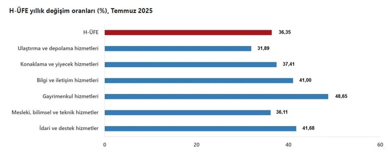 TÜİK açıkladı: Hizmet Üretici Fiyat Endeksi temmuzda arttı