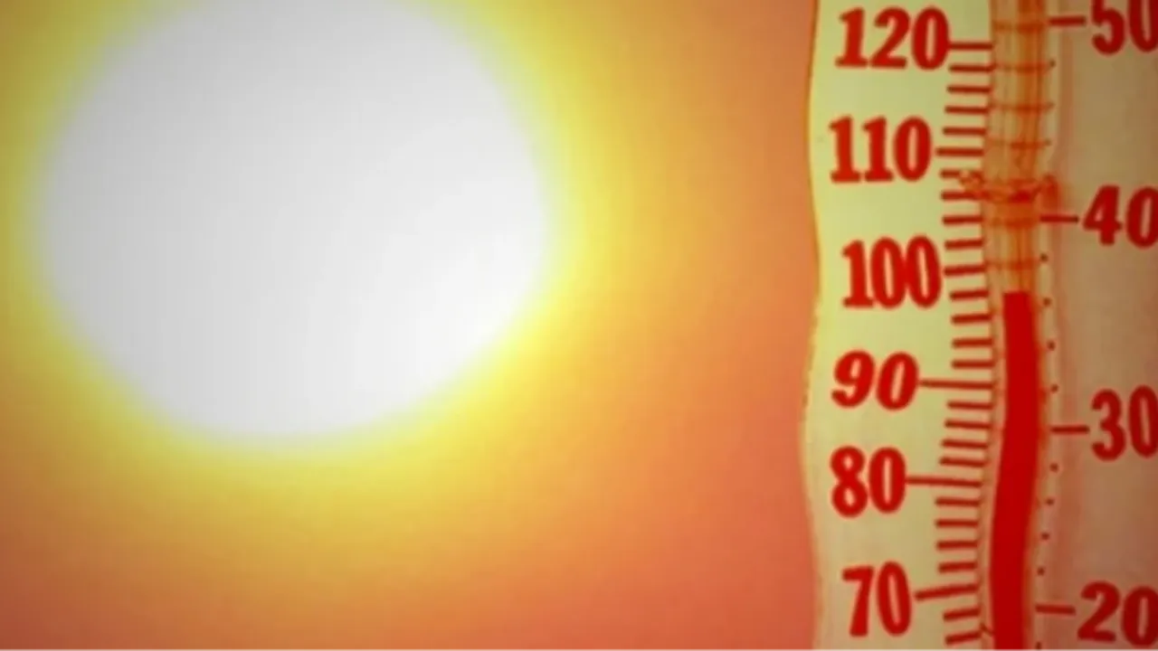Aşırı sıcaklar öldürmeye devam ediyor! Portekiz
