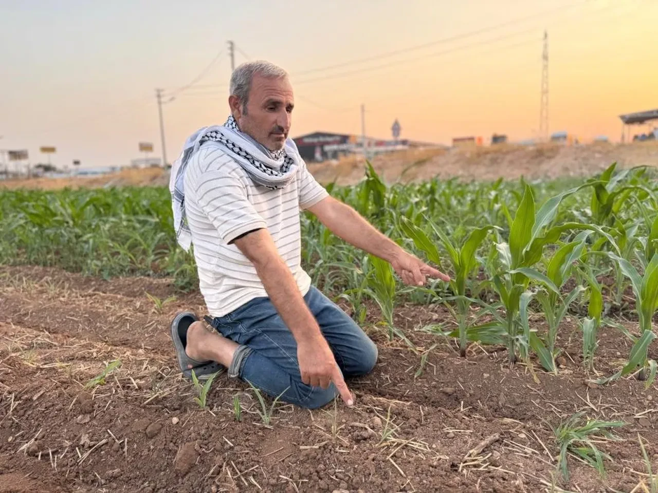 Çiftçiyi isyan ettiren olay! Ektiği tohumlar filizlendi, şaşkına döndü! 'Ruh sağlığım bozuldu' deyip mahkemeye koştu