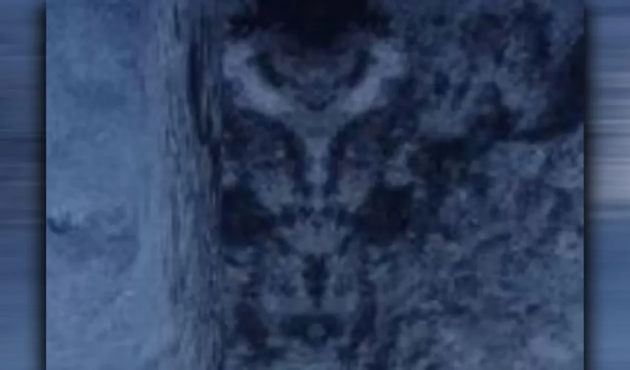 Google Haritalar'da ilginç keşif! Herkes aynı yorumu yaptı, uzmanlar açıklık getirdi