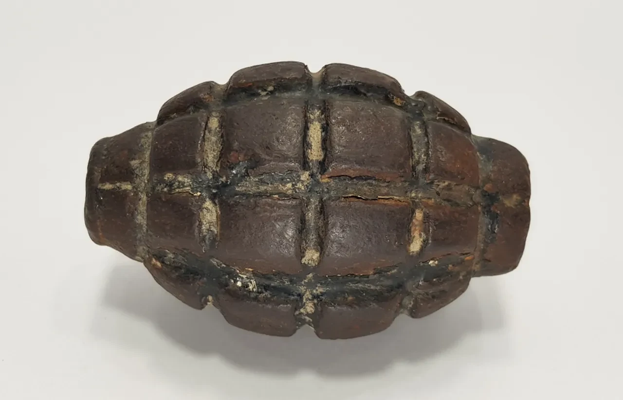 İyi niyet göstermek isterken bir şehri paniğe sürükledi, polis harekete geçti