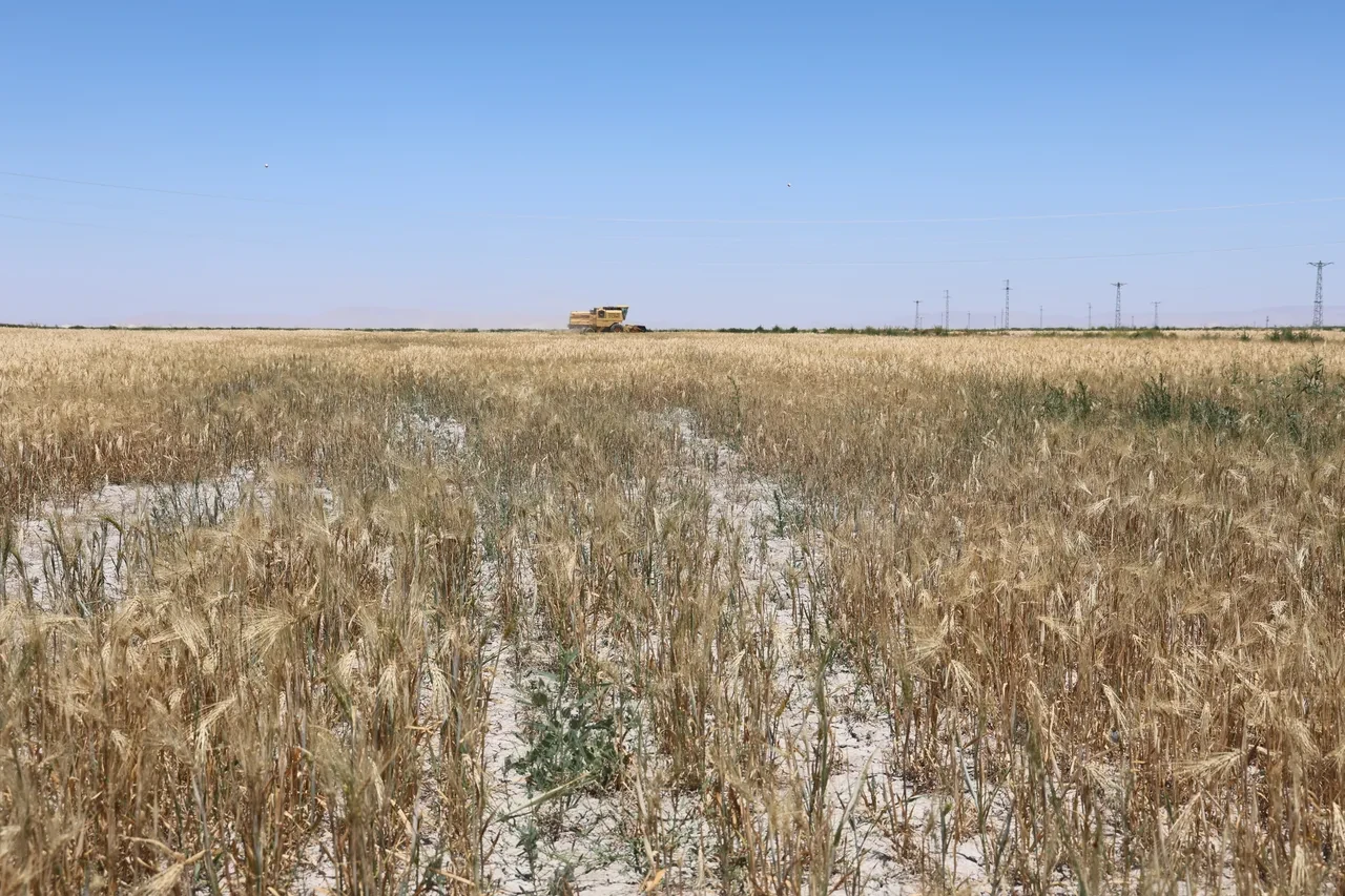 Köye dönüşe teşvik paketi hazır: Toprak, ev ve kredi verilecek