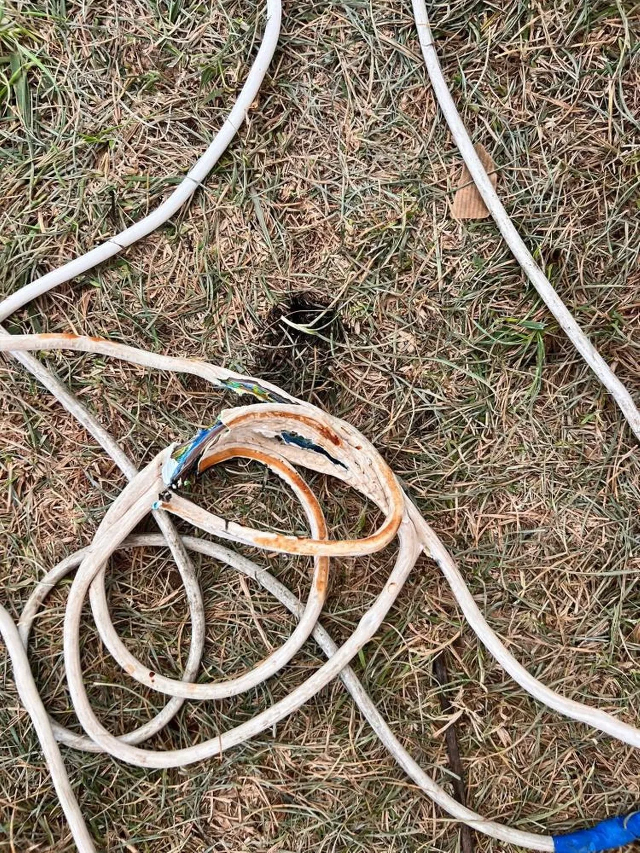 Beykoz Çayır Festivali'nde acı ölüm! Elektrik akımına kapılan dondurmacı genç can verdi