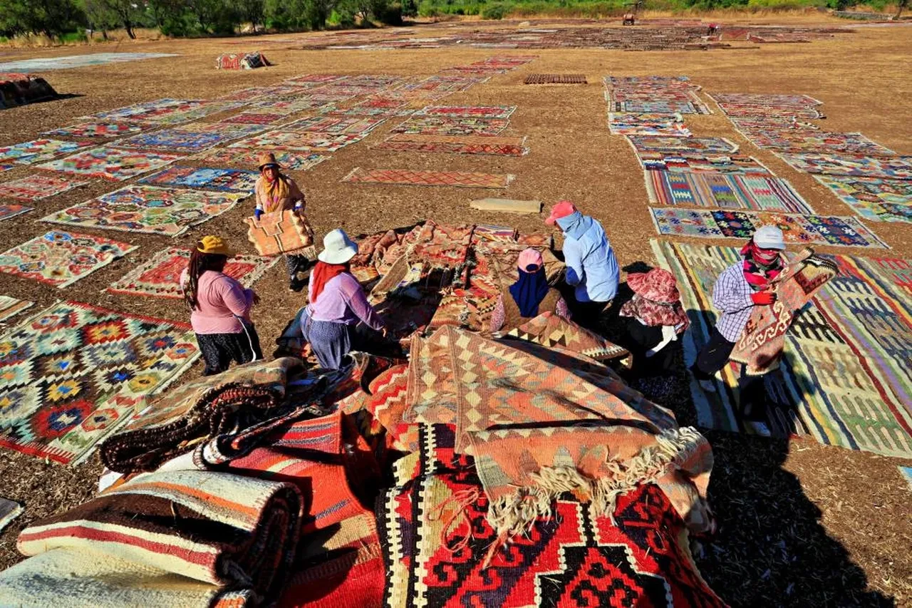 Bu hasat başka hasat! Fiyatları 5 bin liradan başlıyor: Geceleri nöbet tutuyorlar